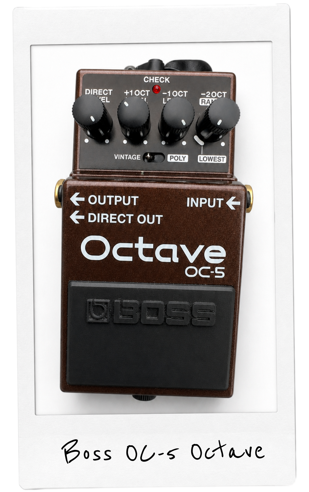 Polaroid photo of the Boss OC-5 Octave Pedal from Lottie’s pedalboard.